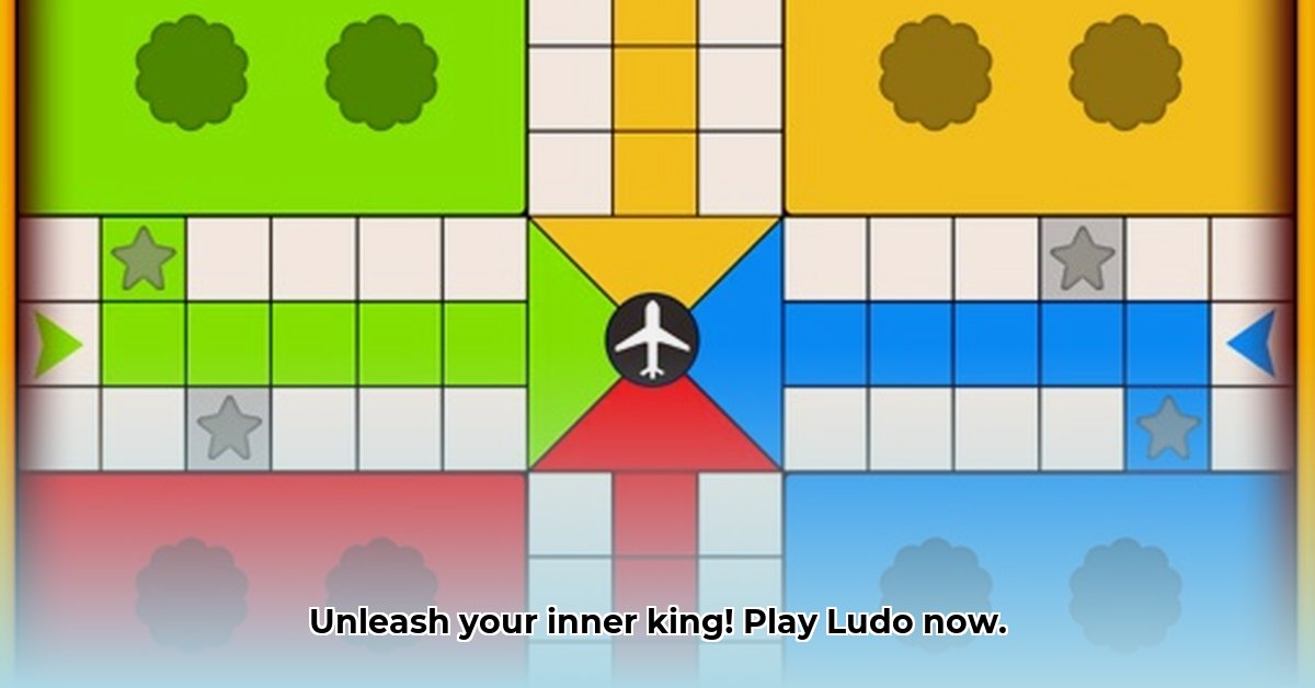 ludo-offline-dice-board-game